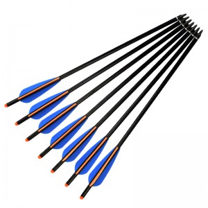 Elong Outdoor 116028 18Inch 2216 Aluminium Crossbow Bolt Archery Jakt efter Crossbow